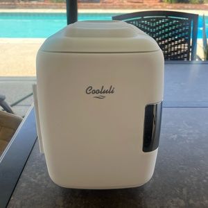 Mini fridge/heater